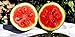 photo 25 Moon and Star Watermelon Seeds | Non-GMO | Heirloom | Instant Latch Garden Seeds 2022-2021