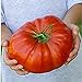 photo Steakhouse Tomato Seeds (20+ Seeds) | Non GMO | Vegetable Fruit Herb Flower Seeds for Planting | Home Garden Greenhouse Pack 2023-2022