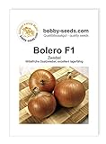 foto: jetzt Zwiebelsamen Bolero F1 Portion Online, bester Preis 1,95 € neu 2024-2023 Bestseller, Rezension