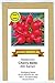 foto Radieschen - Cherry Belle - schnellwüchsig - früh reifend - köstlich - 200 Samen 2024-2023
