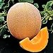 photo Seed Kingdom Cantaloupe Hales Best Jumbo Melon Heirloom Vegetable 3,000 Seeds 2024-2023