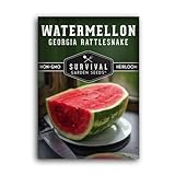 photo: You can buy Survival Garden Seeds - Georgia Rattlesnake Watermelon Seed for Planting - Packet with Instructions to Plant and Grow Melons in Your Home Vegetable Garden - Giant Super Sweet Non-GMO Heirloom Variety online, best price $4.99 new 2024-2023 bestseller, review