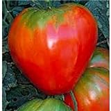 photo: You can buy German Red Strawberry Tomato Seeds (20+ Seeds) | Non GMO | Vegetable Fruit Herb Flower Seeds for Planting | Home Garden Greenhouse Pack online, best price $3.69 ($0.18 / Count) new 2024-2023 bestseller, review