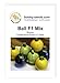 foto Kürbissamen Ball Mix F1 Zucchini Rondinimischung Portion 2024-2023