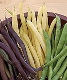 photo: You can buy Burpee Three Color Blend Bush Bean Seeds 2 ounces of seed online, best price $5.66 new 2024-2023 bestseller, review