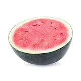 photo: buy 50 Sugar Baby Watermelon Seeds for Planting - Heirloom Non-GMO USA Grown Premium Fruit Seeds for Planting a Home Garden - Small Watermelon Citrullus Lanatus by RDR Seeds online, best price $4.99 ($0.10 / Count) new 2022-2021 bestseller, review