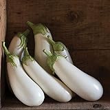 photo: You can buy David's Garden Seeds Eggplant Aretussa (White) 25 Non-GMO, Hybrid Seeds online, best price $3.45 new 2024-2023 bestseller, review
