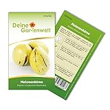 foto: jetzt Melonenbirne Birnenmelone Pepino Samen - Solanum muricatum - Melonenbirnensamen - Obstsamen - Saatgut für 6 Pflanzen Online, bester Preis 2,69 € (0,45 € / stück) neu 2024-2023 Bestseller, Rezension