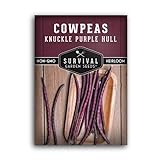 photo: You can buy Survival Garden Seeds - Knuckle Purple Hull Cowpeas Seed for Planting - Packet with Instructions to Plant and Grow Delicious & Nutritious Peas in Your Home Vegetable Garden - Non-GMO Heirloom Variety online, best price $4.99 new 2024-2023 bestseller, review