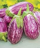 photo: You can buy Exotic Listada de Gandia Eggplant Seed for Planting | 50+ Seeds | Ships from Iowa, USA | Non-GMO Exotic Heirloom Vegetables | Great Gardening Gift online, best price $7.98 new 2024-2023 bestseller, review