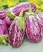 photo Exotic Listada de Gandia Eggplant Seed for Planting | 50+ Seeds | Ships from Iowa, USA | Non-GMO Exotic Heirloom Vegetables | Great Gardening Gift 2023-2022