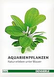 foto: jetzt Aquarienpflanzen: Natur erleben unter Wasser Online, bester Preis 7,08 € neu 2024-2023 Bestseller, Rezension