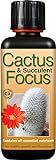photo: acheter Engrais concentré Liquide Cactus and Succulent Focus 300 ML en ligne, meilleur prix 11,97 € (39,90 € / l) nouveau 2024-2023 best-seller, examen