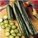 photo: You can buy Sweeter Yet Cucumbers Seeds (20+ Seeds) | Non GMO | Vegetable Fruit Herb Flower Seeds for Planting | Home Garden Greenhouse Pack online, best price $3.69 ($0.18 / Count) new 2024-2023 bestseller, review