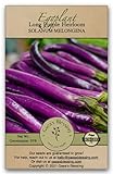 photo: You can buy Gaea's Blessing Seeds - Eggplant Seeds - Long Purple Heirloom Non-GMO Seeds with Easy to Follow Planting Instructions - 91% Germination Rate Net Wt. 1.0g online, best price $5.99 new 2024-2023 bestseller, review