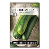 photo: You can buy Sow Right Seeds - Marketmore Cucumber Seeds for Planting - Non-GMO Heirloom Packet with Instructions to Plant and Grow an Outdoor Home Vegetable Garden - Vigorous Productive - Wonderful Gardening Gift online, best price $4.99 new 2024-2023 bestseller, review
