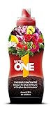 photo: acheter NUTRIONE ONELI500 Engrais Premium Liquide Universel 500 ML Luxuriantes | pour Toutes Plantes et Fleurs, Croissance Equilibrée, 500ml en ligne, meilleur prix 14,81 € (29,62 € / l) nouveau 2024-2023 best-seller, examen