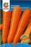 foto: comprar Zanahoria Nantesa WAM - Sobre de 10 gr on-line, mejor precio 2,01 € nuevo 2024-2023 éxito de ventas, revisión