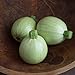photo David's Garden Seeds Zucchini Round Cue Ball (Green) 25 Non-GMO, Hybrid Seeds 2024-2023