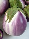 photo: You can buy Rosa Bianca Eggplant Seeds, 100+ Heirloom Seeds Per Packet, (Isla's Garden Seeds), Non GMO Seeds, Botanical Name: Solanum melongena online, best price $5.99 ($0.06 / Count) new 2024-2023 bestseller, review
