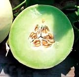 photo: You can buy Park Seed Snow Mass Honeydew Melon Seeds online, best price $7.95 new 2024-2023 bestseller, review