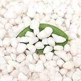 photo: You can buy [18 Pounds] White Pebbles Aquarium Gravel River Rock,Natural Polished Decorative Gravel,Garden Ornamental Pebbles Rocks,White Stones,Polished Gravel for Landscaping Vase Fillers White Mini (White) online, best price $28.98 new 2024-2023 bestseller, review