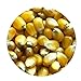 foto 50Pcs / Bolsa Semillas de maíz Jugosa Fácil Germinación Amarillo Verduras Dulces Plántulas Suministros de jardinería Semillas De Verduras Verdes Hogar Jardín Plantar Vegetales-1 2024-2023