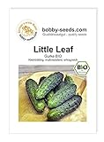 foto: jetzt BIO-Gurkensamen Little Leaf Einlegegurke Portion Online, bester Preis 1,95 € neu 2024-2023 Bestseller, Rezension