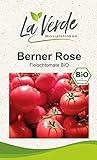 foto: jetzt Berner Rose BIO Tomatensamen Online, bester Preis 3,25 € neu 2024-2023 Bestseller, Rezension