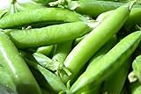 photo: You can buy Sugar Ann Snap Pea Garden Seeds, 50 Heirloom Seeds Per Packet, Non GMO Seeds online, best price $6.25 ($0.12 / Count) new 2024-2023 bestseller, review