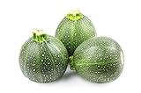 photo: You can buy Round Zucchini Summer Squash Seeds, aka: Eight Ball Zucchini, 40 Heirloom Seeds Per Packet, Non GMO Seeds, Botanical Name: Cucurbirta pepo, Isla's Garden Seeds online, best price $5.89 ($0.15 / Count) new 2024-2023 bestseller, review