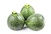 photo Round Zucchini Summer Squash Seeds, aka: Eight Ball Zucchini, 40 Heirloom Seeds Per Packet, Non GMO Seeds, Botanical Name: Cucurbirta pepo, Isla's Garden Seeds 2023-2022
