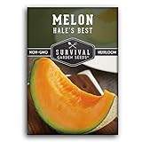 photo: You can buy Survival Garden Seeds - Hale's Best Melon Seed for Planting - Grow Juicy Cantaloupe for Eating - Packet with Instructions to Plant in Your Home Vegetable Garden - Non-GMO Heirloom Variety online, best price $4.99 new 2024-2023 bestseller, review