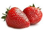 photo: You can buy MOCCUROD 150pcs Giant Strawberry Seeds Evergreening Plant Fruit Seeds Sweet and Delicious online, best price $7.99 ($0.05 / Count) new 2024-2023 bestseller, review