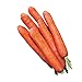 photo Burpee Nantes Half Long Carrot Seed Tape 83 per tape 2022-2021