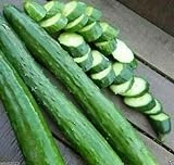 photo: You can buy Armenian Dark Green Cucumber Seeds, 100 Heirloom Seeds Per Packet, Non GMO Seeds, Botanical Name: Cucumis sativus, Isla's Garden Seeds online, best price $6.25 ($0.06 / Count) new 2024-2023 bestseller, review