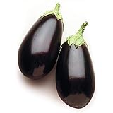 photo: You can buy David's Garden Seeds Eggplant Night Shadow (Purple) 25 Non-GMO, Hybrid Seeds online, best price $3.45 new 2024-2023 bestseller, review