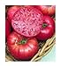 photo 75+ Mortgage Lifter Tomato Seeds- Heirloom Variety- by Ohio Heirloom Seeds 2022-2021