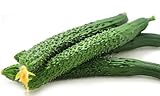 photo: You can buy Cucumber Seeds for Planting Vegetables and Fruits-Asian Suyo Long Cucumber Plant Seeds,Burpless Non GMO Garden Seeds Vegetable Seeds,Oriental Chinese Cucumber Seeds-11ct Veggie Seeds China Long Hybrid online, best price $3.86 ($0.35 / Count) new 2024-2023 bestseller, review