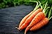 photo Scarlet Nantes Carrot Seeds - Non-GMO - 7 Grams, Approximately 4,750 Seeds 2024-2023