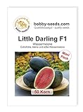 foto: jetzt Melonensamen Little Darling F1 Wassermelone 50 Korn Online, bester Preis 8,56 € neu 2024-2023 Bestseller, Rezension