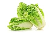 photo: You can buy Peking Cabbage Seeds for Planting Chinees Beijing Napa Lettuce About 100 Seeds online, best price $6.99 new 2024-2023 bestseller, review