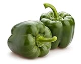 photo: You can buy California Wonder 300 TMR Bell Pepper Seeds, 100+ Heirloom Seeds Per Packet, Non GMO Seeds, Botanical Name: Capsicum annuum, Isla's Garden Seeds online, best price $6.99 ($0.07 / Count) new 2024-2023 bestseller, review