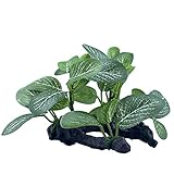 photo: You can buy Otimark 2 Piece Silk Soft Fake Small Aquarium Realistic Artificial Plastic Plants for Betta Fish Tank Decorations Plants, Tiny Fish Tank Accessories Plants online, best price $15.99 new 2024-2023 bestseller, review