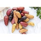 photo: You can buy Simply Seed - 10 Piece - Fingerling Potato Seed Mix - Non GMO - Naturally Grown - Order Now for Spring Planting online, best price $13.99 new 2024-2023 bestseller, review