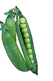 photo: You can buy Burpee Easy Peasy Pea Seeds 200 seeds online, best price $7.13 ($0.04 / Count) new 2024-2023 bestseller, review
