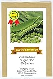 foto: jetzt Zuckererbse - Sugar Bon - 50 Samen Online, bester Preis 1,80 € neu 2024-2023 Bestseller, Rezension