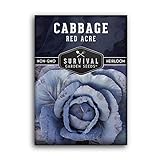 photo: You can buy Survival Garden Seeds - Red Acre Cabbage Seed for Planting - Packet with Instructions to Plant and Grow Purple Cabbages in Your Home Vegetable Garden - Non-GMO Heirloom Variety online, best price $4.99 new 2024-2023 bestseller, review