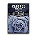 photo Survival Garden Seeds - Red Acre Cabbage Seed for Planting - Packet with Instructions to Plant and Grow Purple Cabbages in Your Home Vegetable Garden - Non-GMO Heirloom Variety 2024-2023