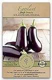 photo: You can buy Gaea's Blessing Seeds - Eggplant Seeds (200 Seeds) Black Beauty Heirloom Non-GMO Seeds with Easy to Follow Planting Instructions - 92% Germination Rate Net Wt. 1.0g online, best price $5.99 new 2024-2023 bestseller, review